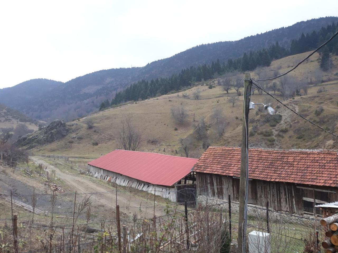 Villa Vrbena Zewnętrze zdjęcie